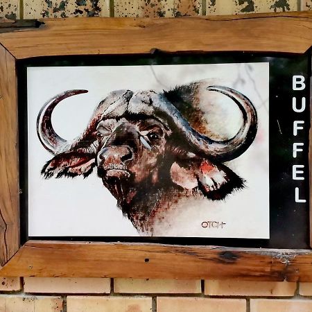 Buffalo Marloth Park Buitenkant foto